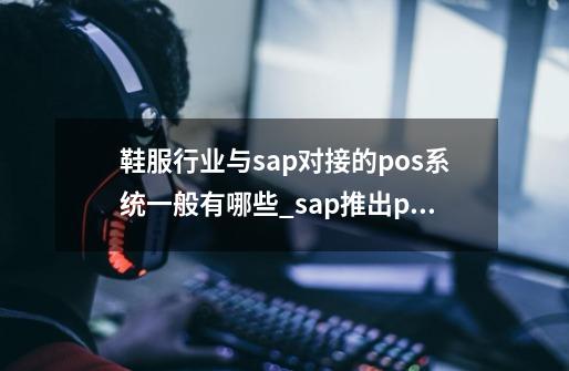 鞋服行业与sap对接的pos系统一般有哪些_sap推出pos-第1张-游戏资讯-智辉网络