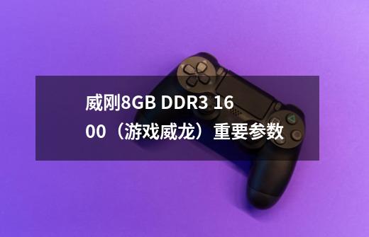 威刚8GB DDR3 1600（游戏威龙）重要参数-第1张-游戏资讯-智辉网络