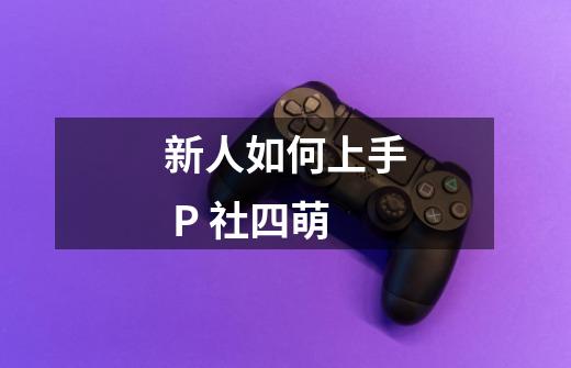 新人如何上手 P 社四萌-第1张-游戏资讯-智辉网络