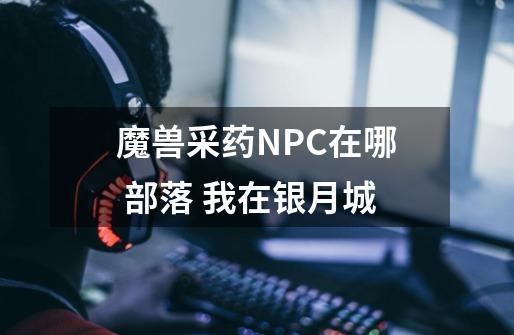 魔兽采药NPC在哪 部落 我在银月城-第1张-游戏资讯-智辉网络