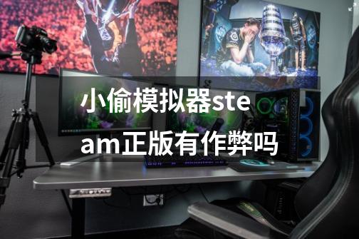 小偷模拟器steam正版有作弊吗-第1张-游戏资讯-智辉网络