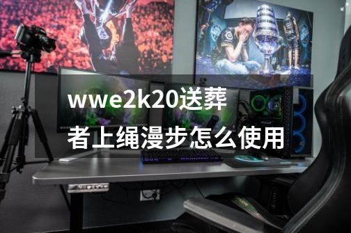 wwe2k20送葬者上绳漫步怎么使用-第1张-游戏资讯-智辉网络