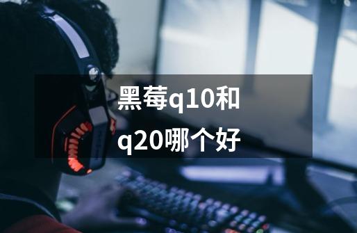 黑莓q10和q20哪个好-第1张-游戏资讯-智辉网络