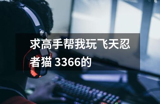 求高手帮我玩飞天忍者猫 3366的-第1张-游戏资讯-智辉网络