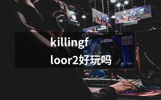 killingfloor2好玩吗-第1张-游戏资讯-智辉网络