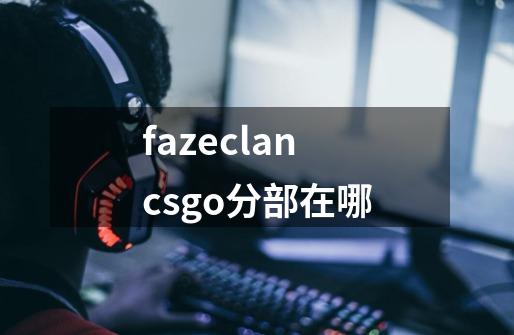 fazeclancsgo分部在哪-第1张-游戏资讯-智辉网络