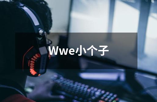 Wwe小个子-第1张-游戏资讯-智辉网络