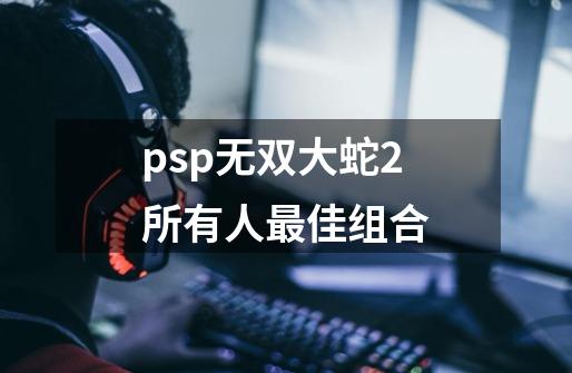 psp无双大蛇2所有人最佳组合-第1张-游戏资讯-智辉网络