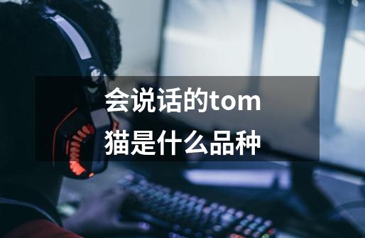 会说话的tom猫是什么品种-第1张-游戏资讯-智辉网络