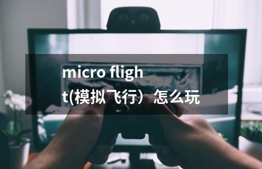 micro flight(模拟飞行）怎么玩-第1张-游戏资讯-智辉网络