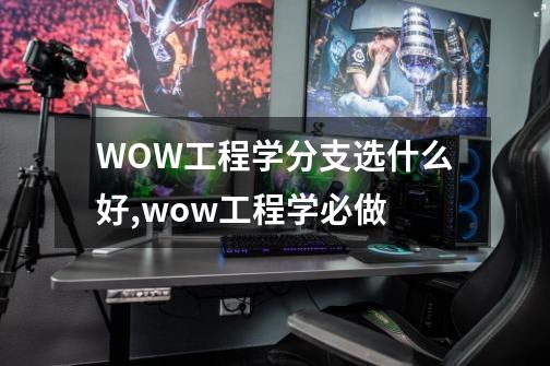 WOW工程学分支选什么好,wow工程学必做-第1张-游戏资讯-智辉网络