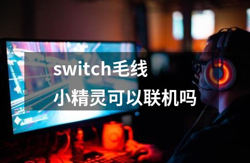 switch毛线小精灵可以联机吗-第1张-游戏资讯-智辉网络