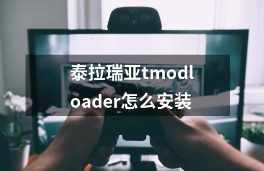 泰拉瑞亚tmodloader怎么安装-第1张-游戏资讯-智辉网络