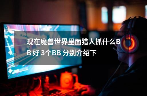 现在魔兽世界里面猎人抓什么BB 好 3个BB 分别介绍下-第1张-游戏资讯-智辉网络