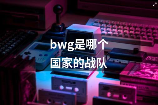 bwg是哪个国家的战队-第1张-游戏资讯-智辉网络