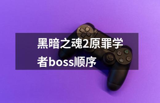 黑暗之魂2原罪学者boss顺序-第1张-游戏资讯-智辉网络