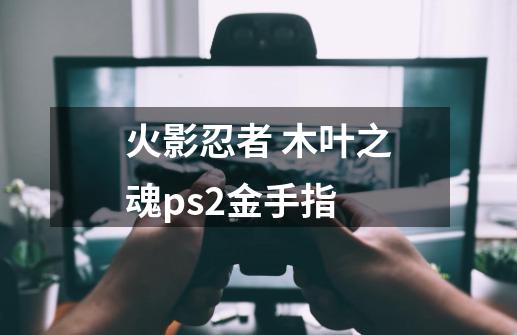 火影忍者 木叶之魂ps2金手指-第1张-游戏资讯-智辉网络