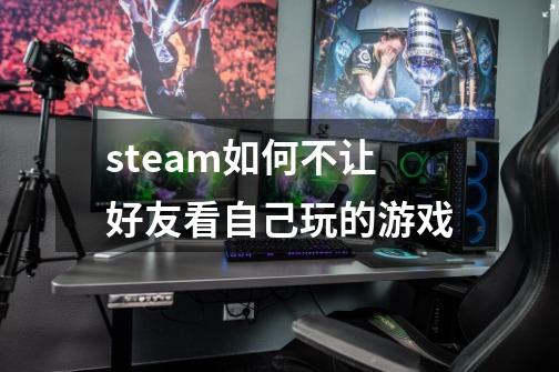 steam如何不让好友看自己玩的游戏-第1张-游戏资讯-智辉网络