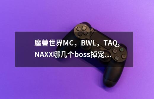 魔兽世界MC，BWL，TAQ,NAXX哪几个boss掉宠物-第1张-游戏资讯-智辉网络