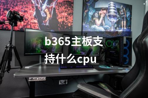 b365主板支持什么cpu-第1张-游戏资讯-智辉网络