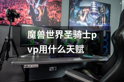 魔兽世界圣骑士pvp用什么天赋-第1张-游戏资讯-智辉网络