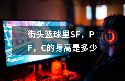 街头篮球里SF，PF，C的身高是多少-第1张-游戏资讯-智辉网络