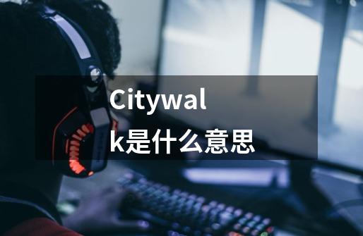 Citywalk是什么意思-第1张-游戏资讯-智辉网络