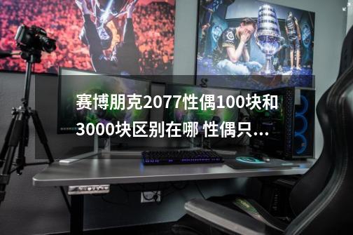 赛博朋克2077性偶100块和3000块区别在哪 性偶只有两个吗-第1张-游戏资讯-智辉网络