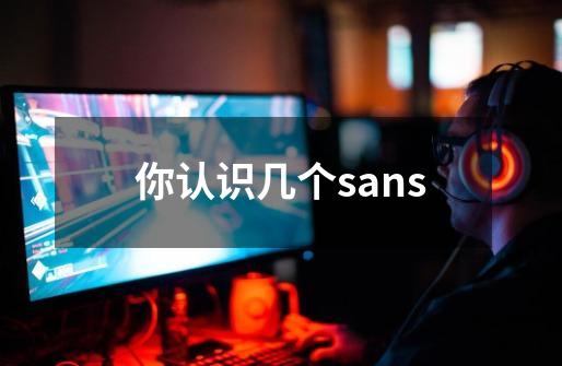 你认识几个sans-第1张-游戏资讯-智辉网络