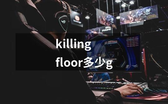 killing floor多少g-第1张-游戏资讯-智辉网络