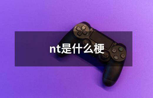 nt是什么梗-第1张-游戏资讯-智辉网络