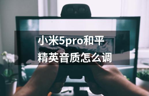 小米5pro和平精英音质怎么调-第1张-游戏资讯-智辉网络