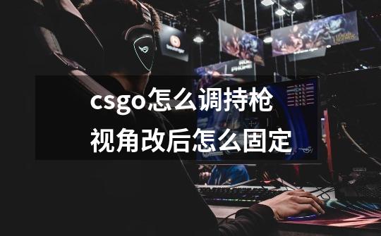 csgo怎么调持枪视角改后怎么固定-第1张-游戏资讯-智辉网络