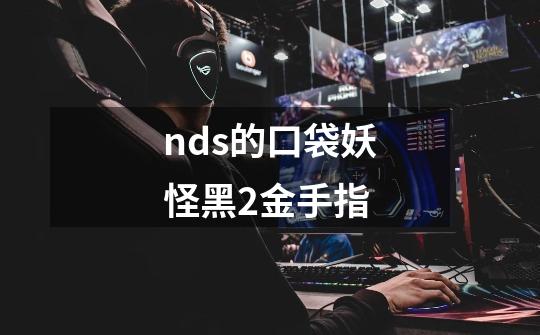 nds的口袋妖怪黑2金手指-第1张-游戏资讯-智辉网络