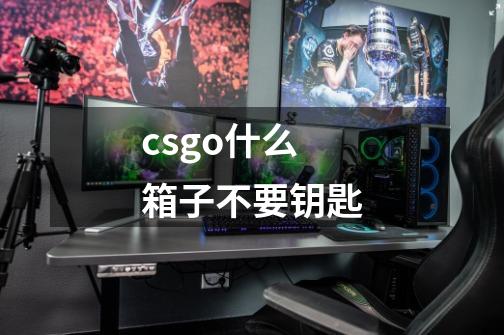 csgo什么箱子不要钥匙-第1张-游戏资讯-智辉网络