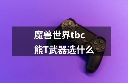 魔兽世界tbc熊T武器选什么-第1张-游戏资讯-智辉网络