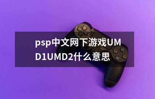 psp中文网下游戏UMD1UMD2什么意思-第1张-游戏资讯-智辉网络