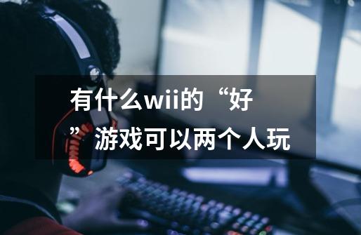 有什么wii的“好”游戏可以两个人玩-第1张-游戏资讯-智辉网络