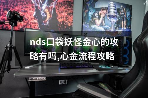 nds口袋妖怪金心的攻略有吗,心金流程攻略-第1张-游戏资讯-智辉网络