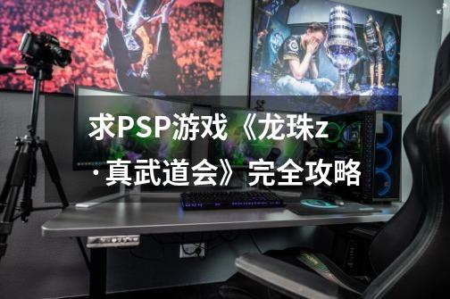 求PSP游戏《龙珠z·真武道会》完全攻略-第1张-游戏资讯-智辉网络