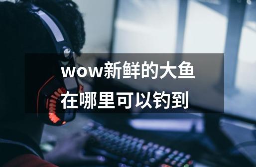 wow新鲜的大鱼在哪里可以钓到-第1张-游戏资讯-智辉网络