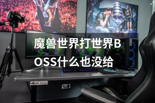 魔兽世界打世界BOSS什么也没给-第1张-游戏资讯-智辉网络