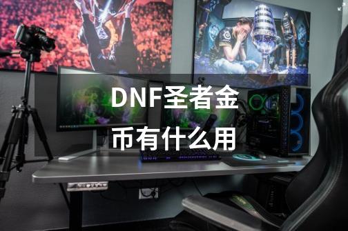 DNF圣者金币有什么用-第1张-游戏资讯-智辉网络