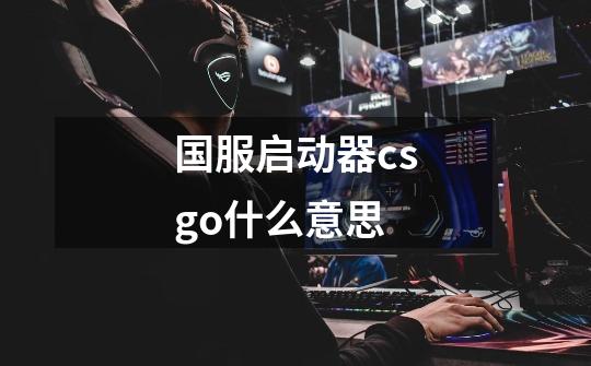 国服启动器csgo什么意思-第1张-游戏资讯-智辉网络