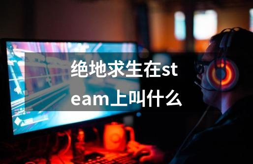 绝地求生在steam上叫什么-第1张-游戏资讯-智辉网络