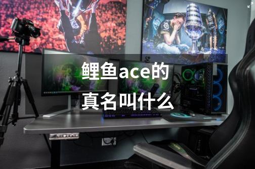 鲤鱼ace的真名叫什么-第1张-游戏资讯-智辉网络