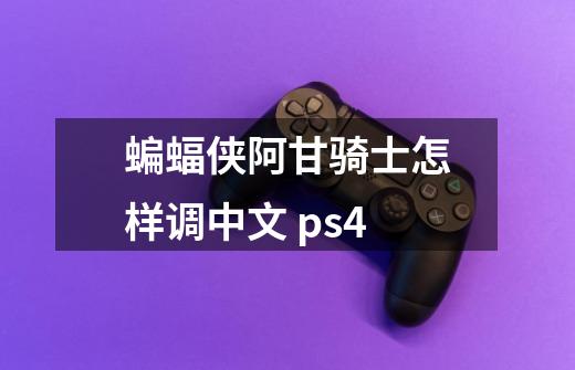 蝙蝠侠阿甘骑士怎样调中文 ps4-第1张-游戏资讯-智辉网络