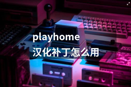 playhome汉化补丁怎么用-第1张-游戏资讯-智辉网络