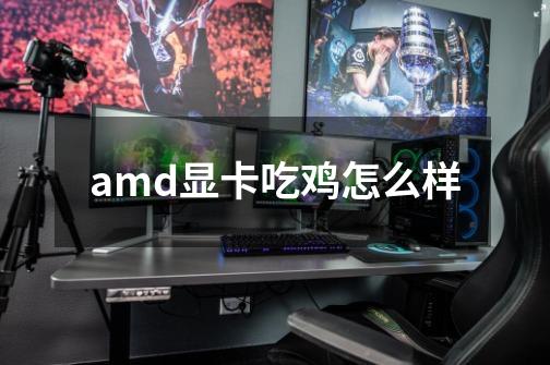 amd显卡吃鸡怎么样-第1张-游戏资讯-智辉网络