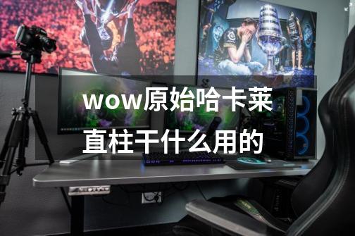 wow原始哈卡莱直柱干什么用的-第1张-游戏资讯-智辉网络